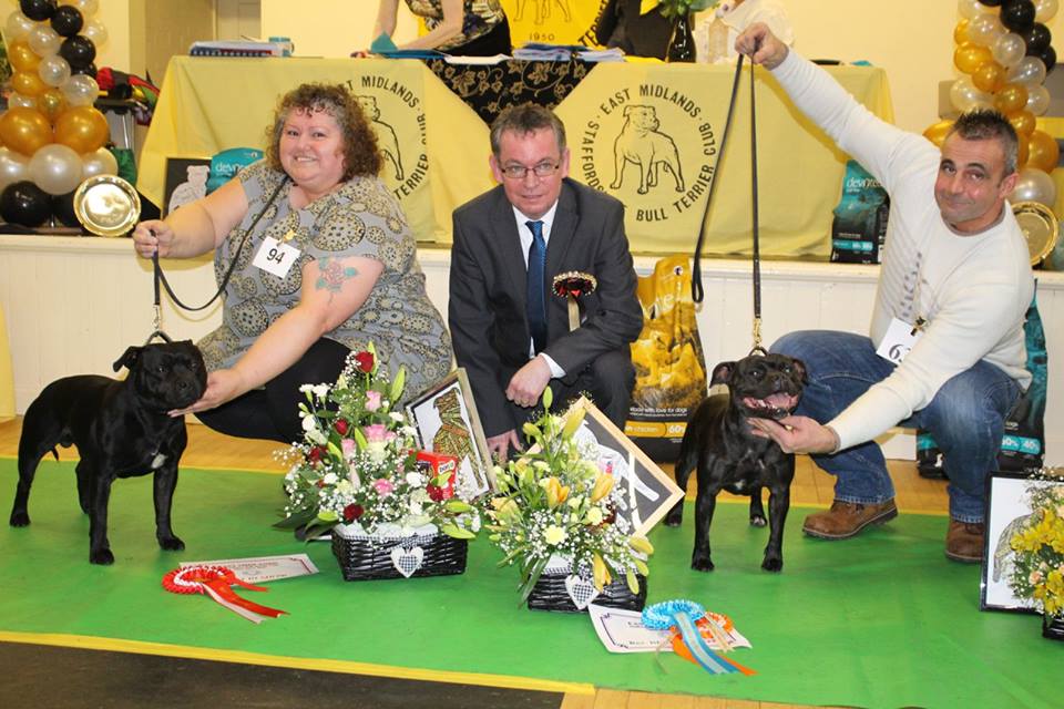 Special open show 2015 Best Dog and Best Bitch